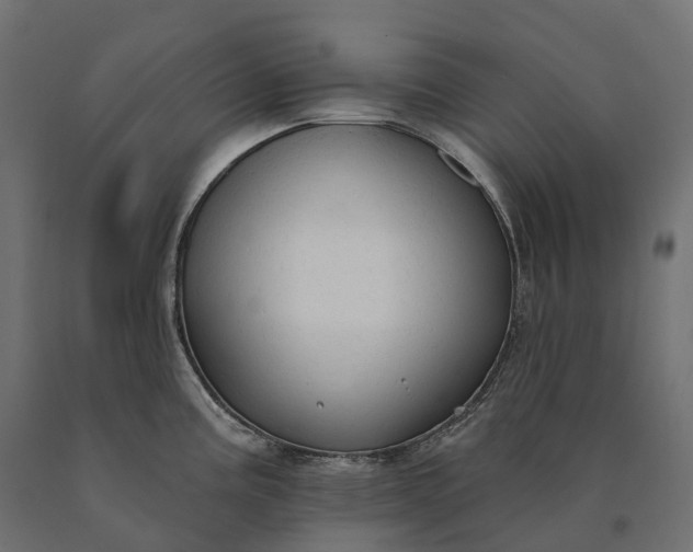 X0000090771195200708031645
