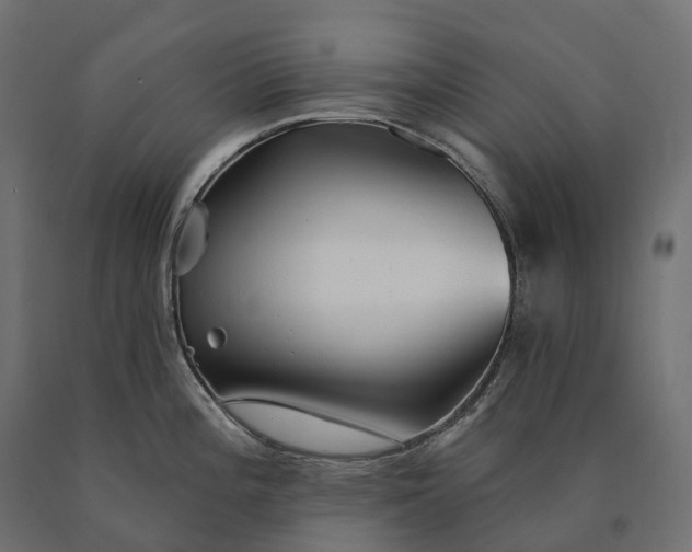 X0000090771196200708031645