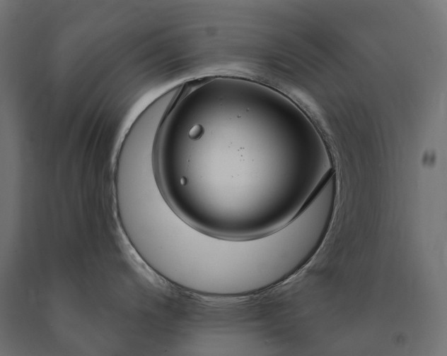 X0000090771200200708031645