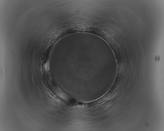 X0000090771202200708031645