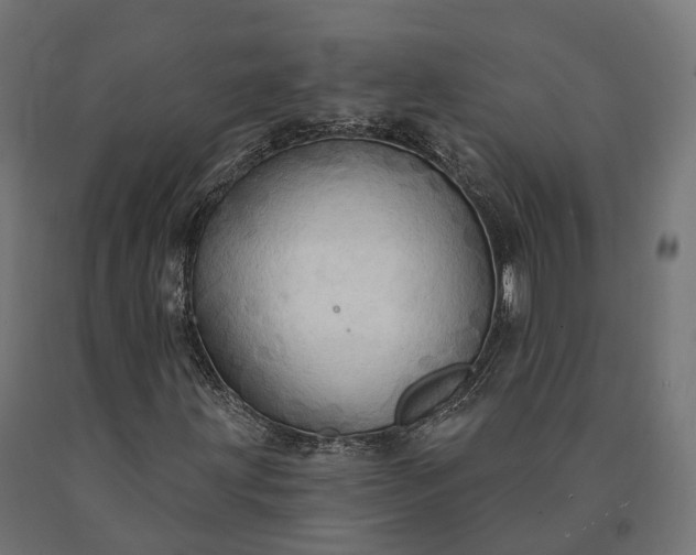 X0000090771203200708031645