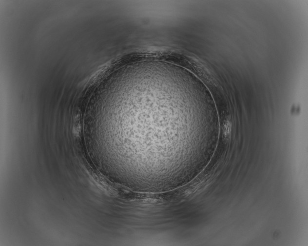 X0000090771204200708031645