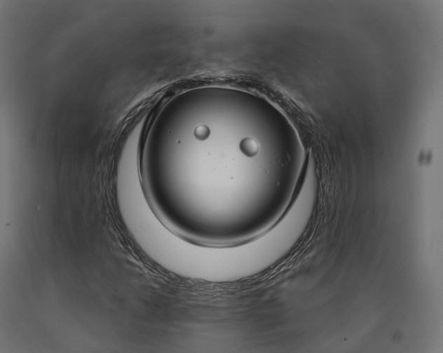 X0000090771206200708031645