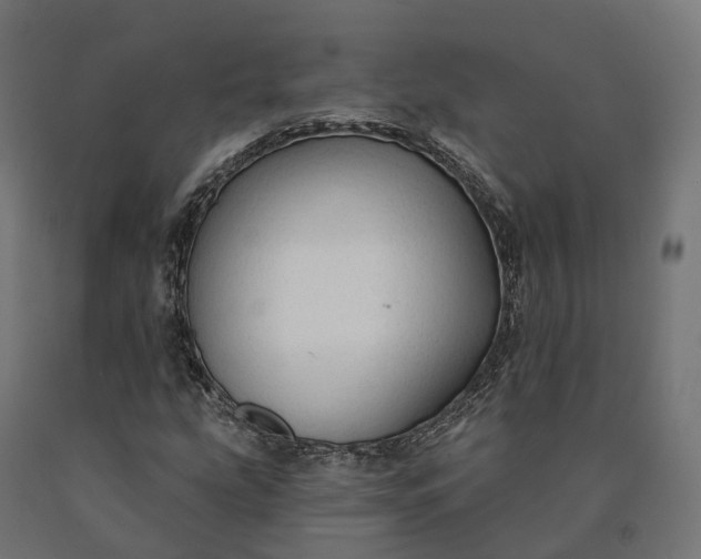 X0000090771207200708031645