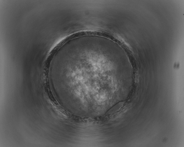 X0000090771208200708031645