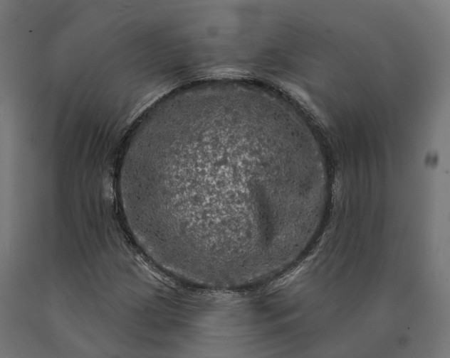 X0000090771209200708031645