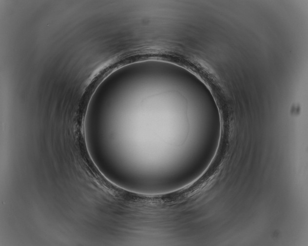 X0000090771210200708031645