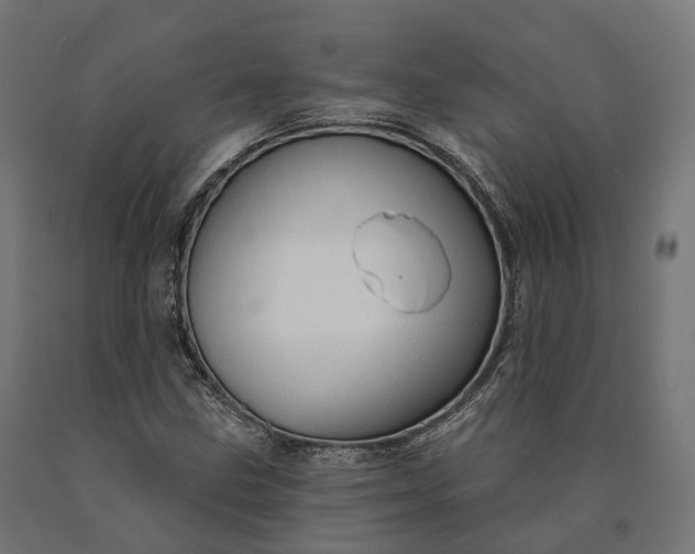 X0000090771211200708031645