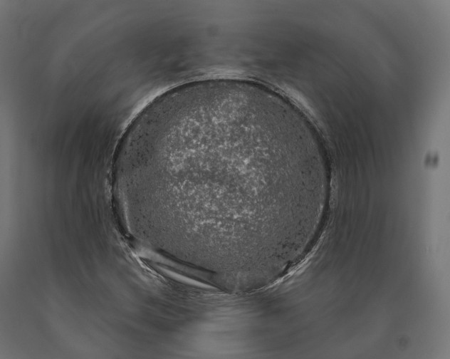 X0000090771212200708031645