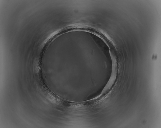 X0000090771213200708031645