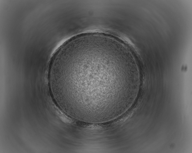 X0000090771216200708031645