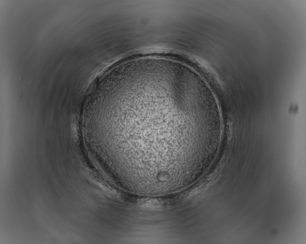 X0000090771217200708031645