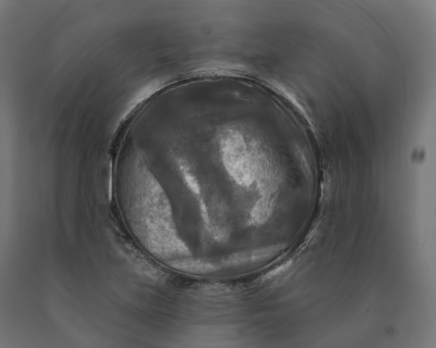 X0000090771219200708031645