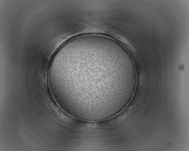 X0000090771220200708031645