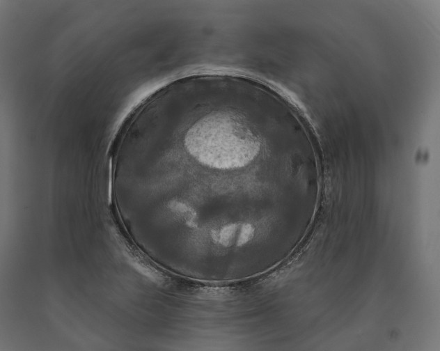 X0000090771223200708031645