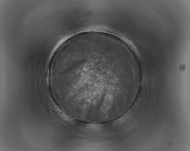 X0000090771224200708031645