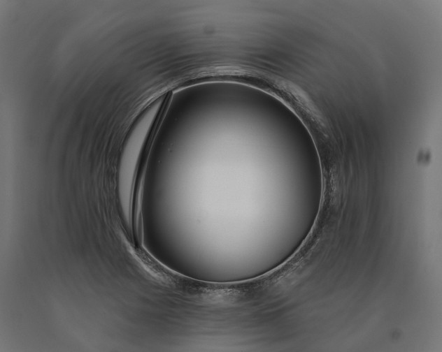 X0000090771225200708031645