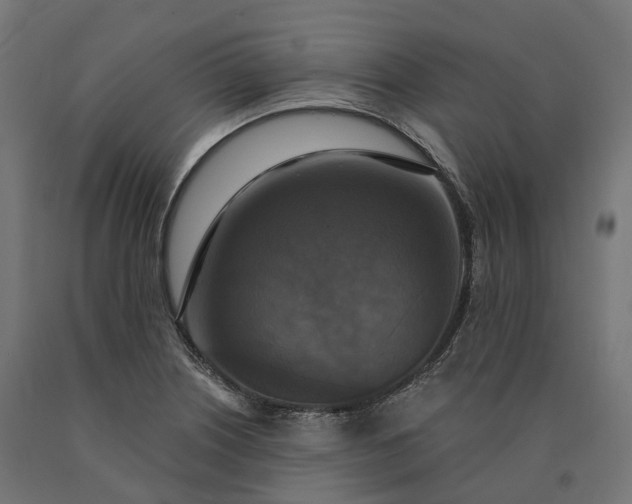 X0000090771226200708031645