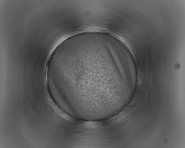 X0000090771227200708031645