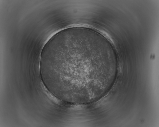 X0000090771228200708031645