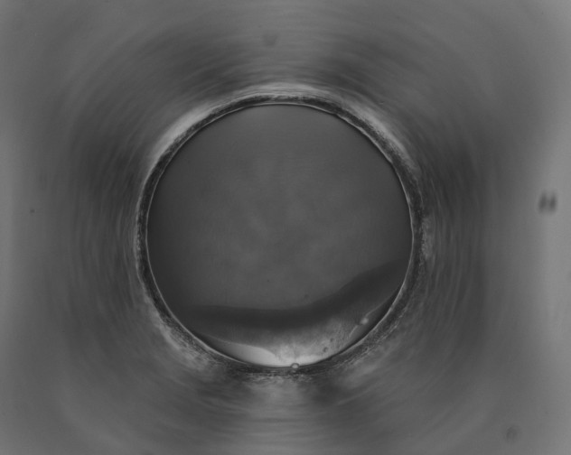 X0000090771229200708031645