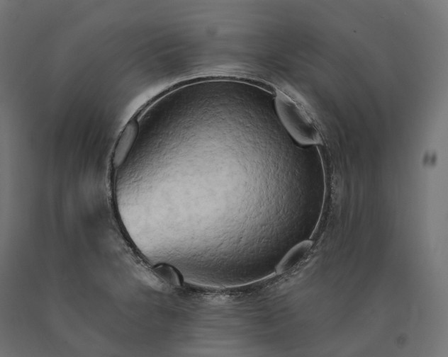 X0000090771230200708031645