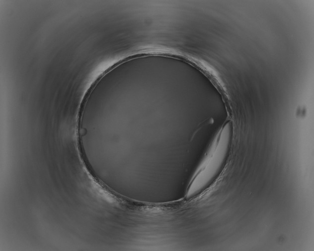 X0000090771231200708031645