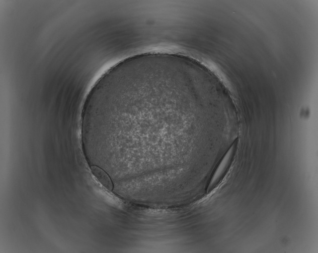 X0000090771232200708031645