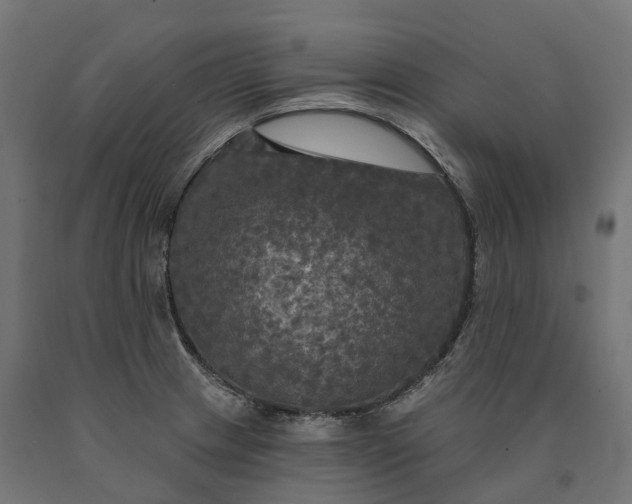 X0000090771233200708031645