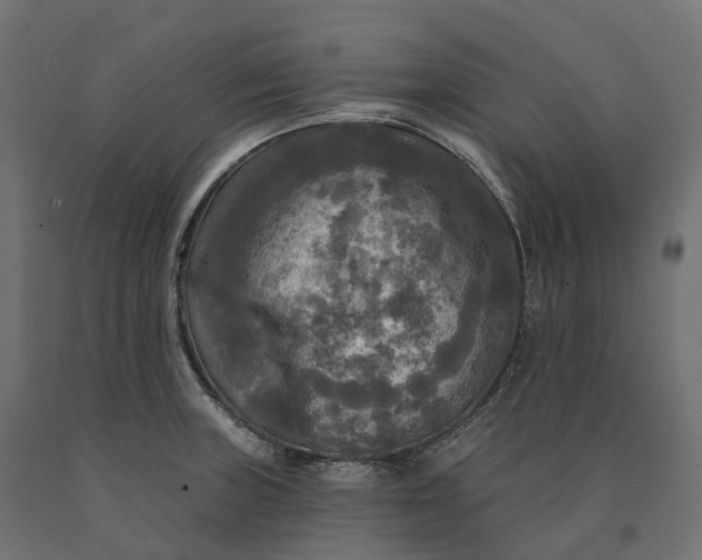 X0000090771235200708031645