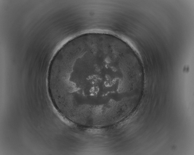 X0000090771237200708031645