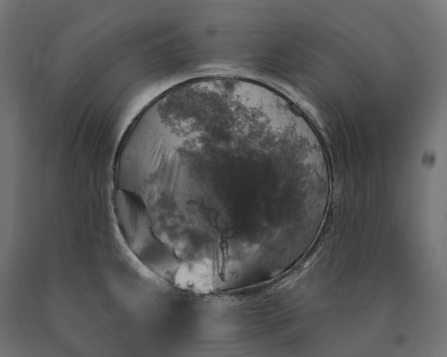 X0000090771239200708031645