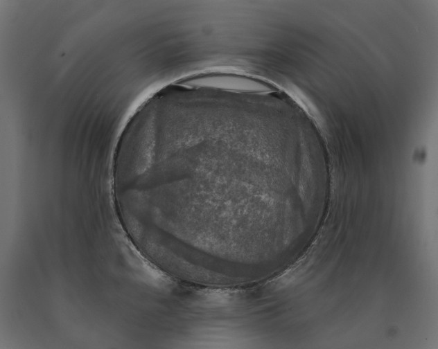 X0000090771240200708031645