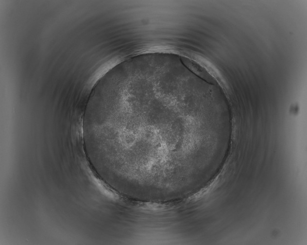 X0000090771241200708031645