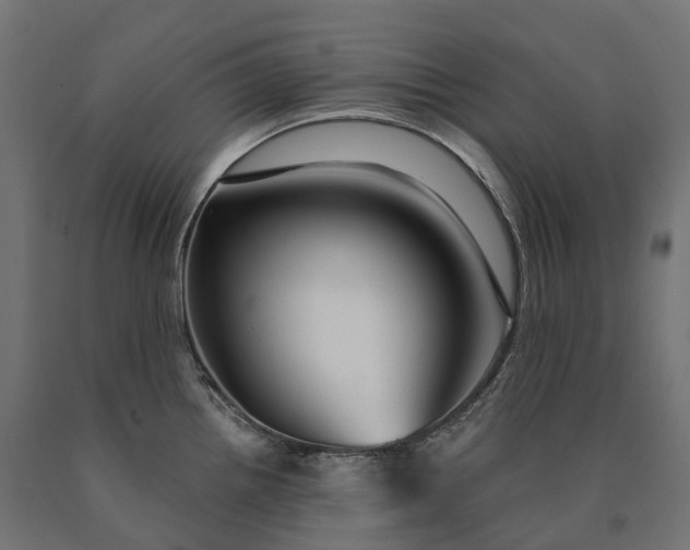 X0000090771242200708031645