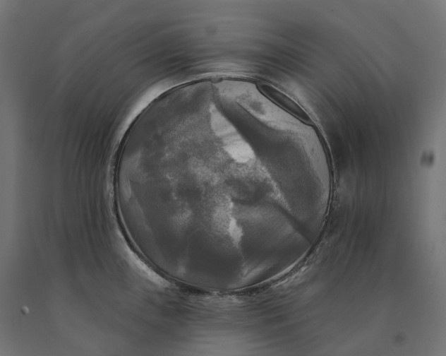 X0000090771243200708031645