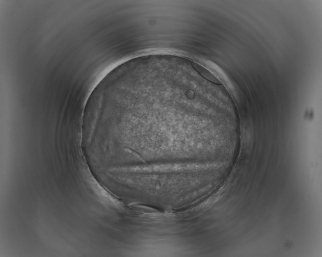 X0000090771244200708031645