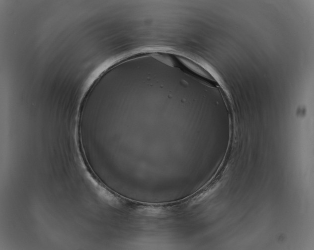 X0000090771245200708031645