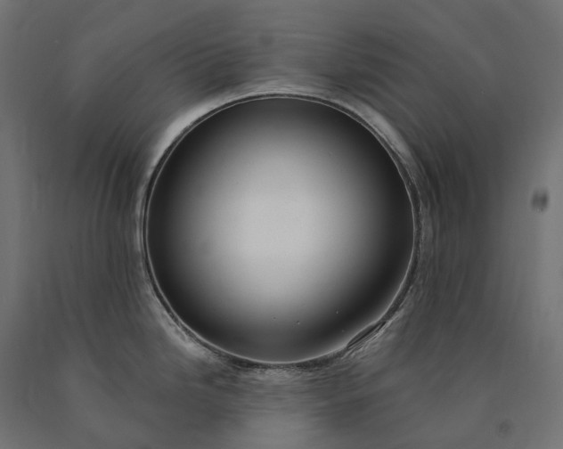 X0000090771246200708031645