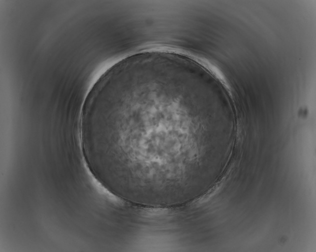 X0000090771247200708031645