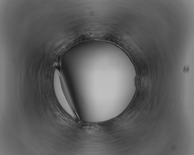 X0000090771250200708031645