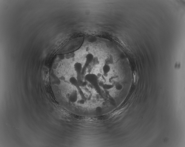X0000090771251200708031645
