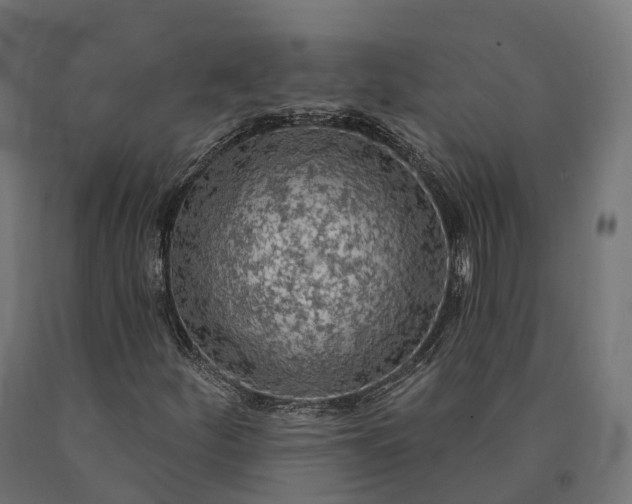 X0000090771252200708031645