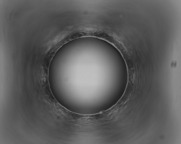 X0000090771253200708031645