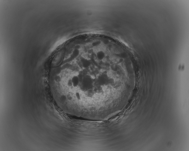 X0000090771255200708031645