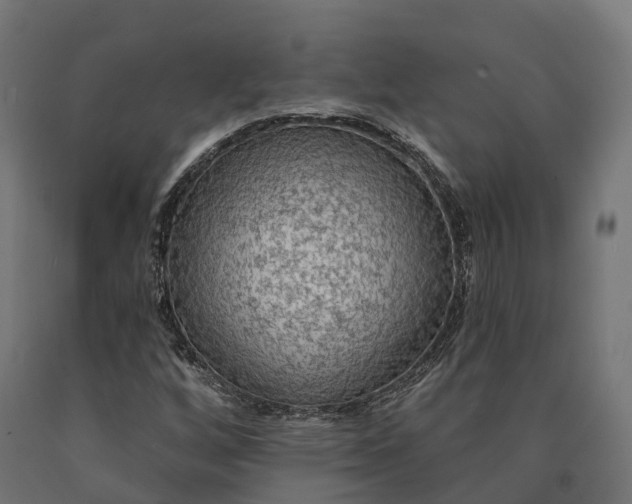 X0000090771256200708031645