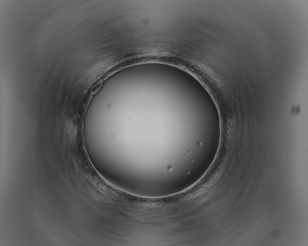 X0000090771257200708031645