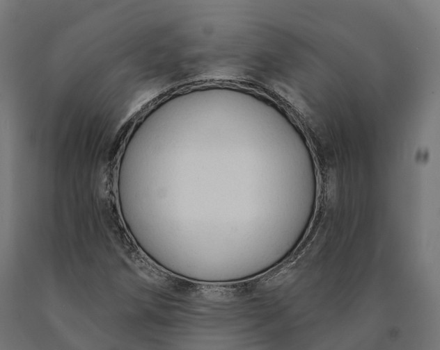 X0000090771258200708031645