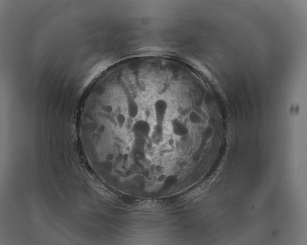 X0000090771259200708031645