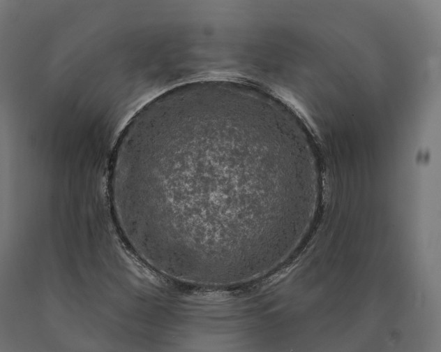 X0000090771260200708031645